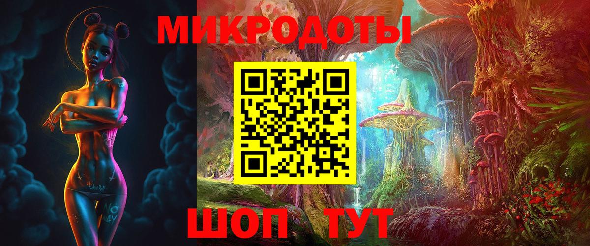 Галлюциногенные грибы Psilocybe Вязники