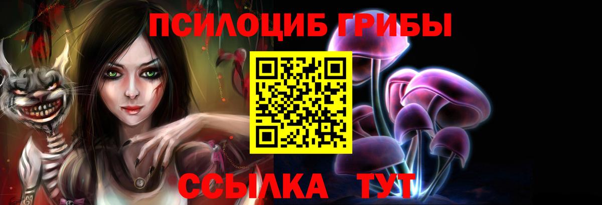 Вязники  Галлюциногенные грибы Cubensis  Вход с VPN  Галлюциногенные грибы мицелий 